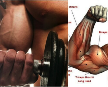 3 Reasons Why Your Biceps Won’t Grow!