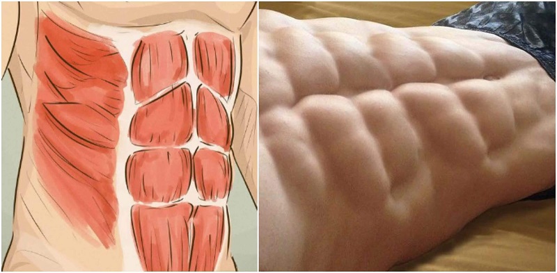 Basic Exercises For Six Pack Abs That You Must Try Today