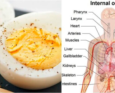 See What Happens To Your Body If You Eat Eggs Every Day