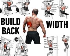 THE BEST EXERCISES TO TRAIN YOUR BACK
