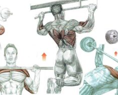 The 5 Exercises That Are Best For Building Muscle