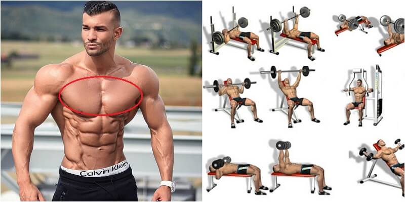 The Best Chest Exercises For Men to Include in a Workout
