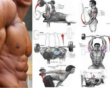The Best Tricep Workout For Mass