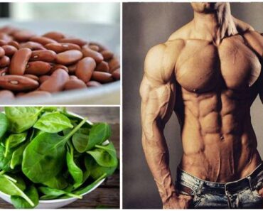 Top 20 Vegetables That Have The Highest Protein Content