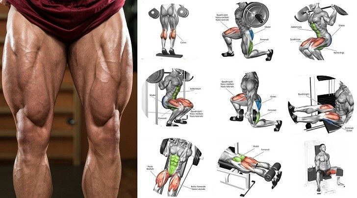 best leg workouts to build muscle