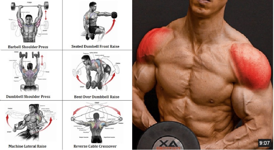 Shoulder Routines To Get The Best Shoulder Workout Guaranteed Easy Muscle Tips