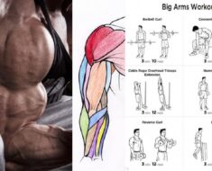 Supersets For Increased Biceps and Triceps Muscle Growth