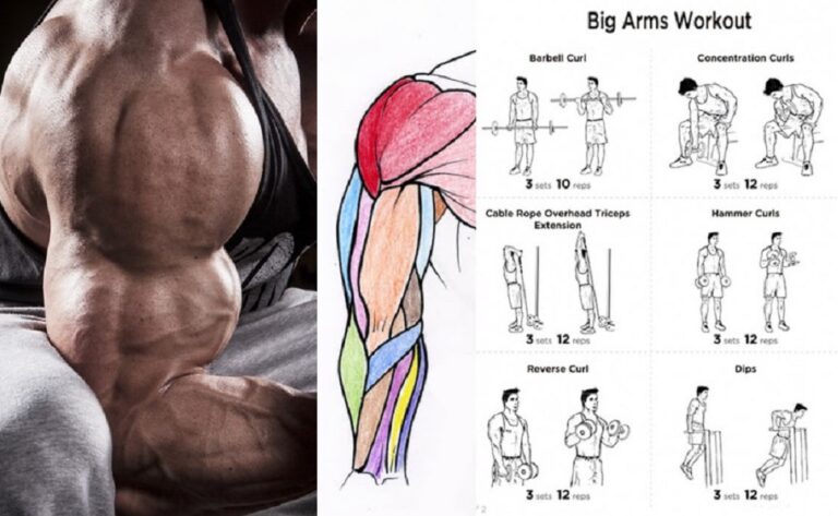 Supersets For Increased Biceps and Triceps Muscle Growth – Easy Muscle Tips