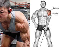 The Only 3 Exercises You Need To Do To Develop Monstrous Delts